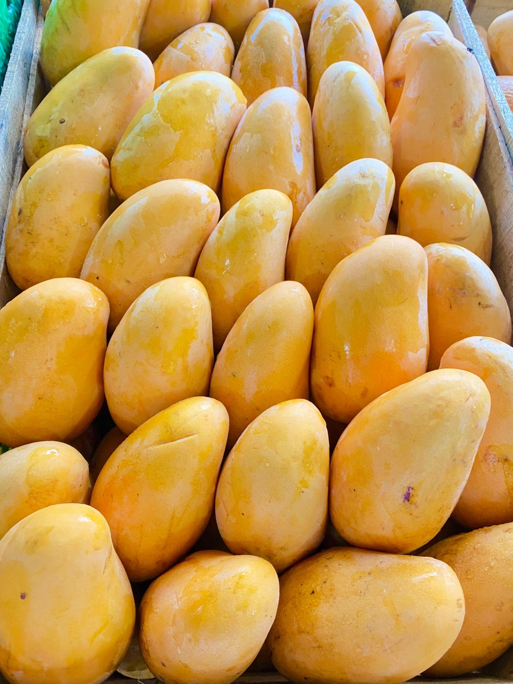 Mango Ataulfo en caja de madera