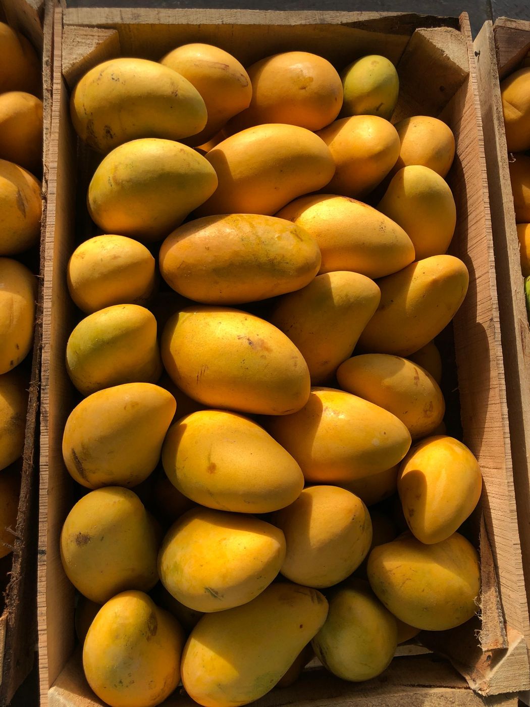 Caja de madera con Mango Ataulfo