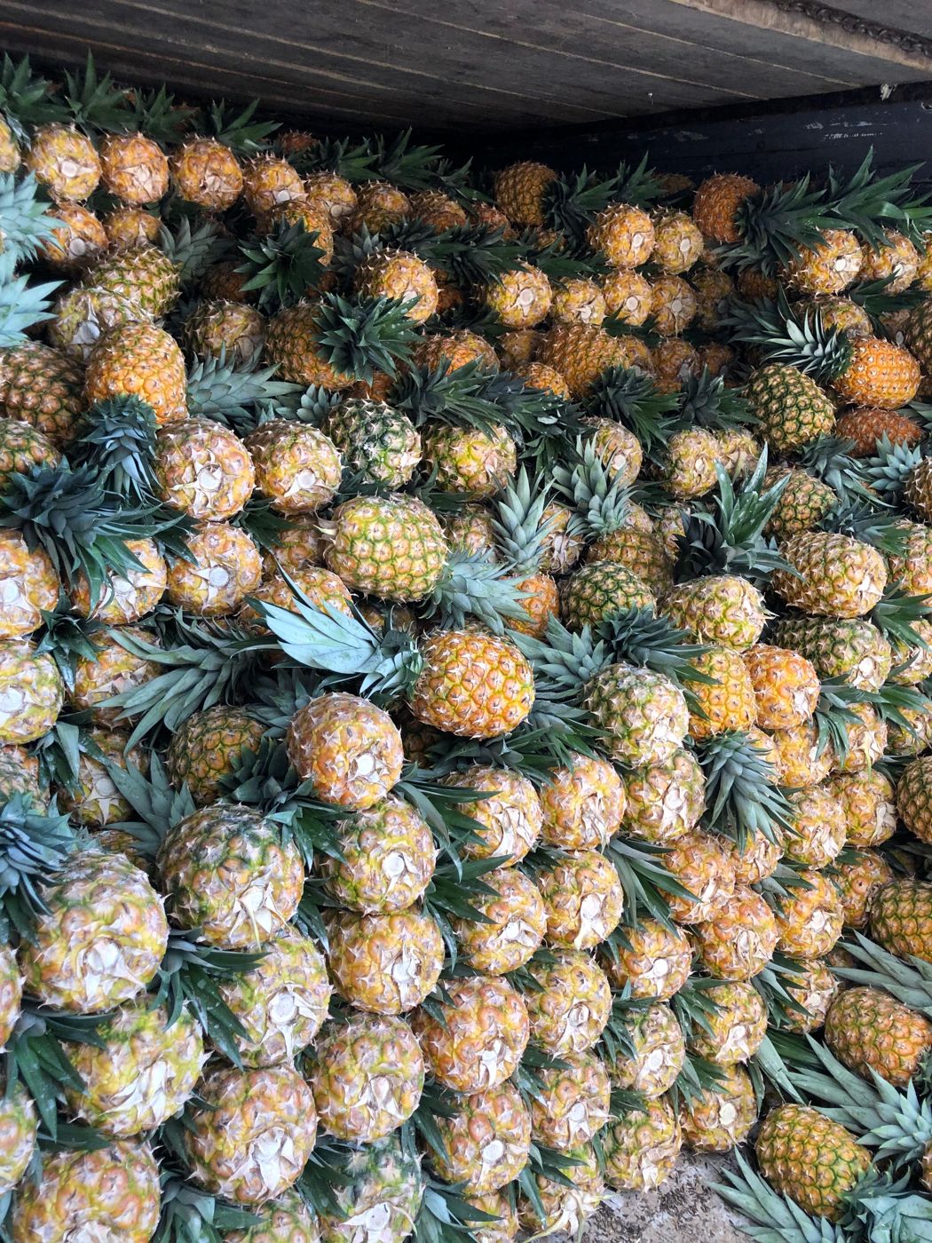 Carga a granel de Piña Miel