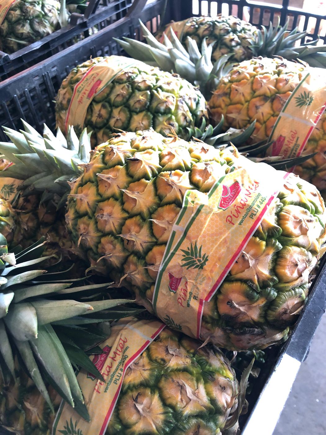 Piñas Miel con la etiqueta de Marroking