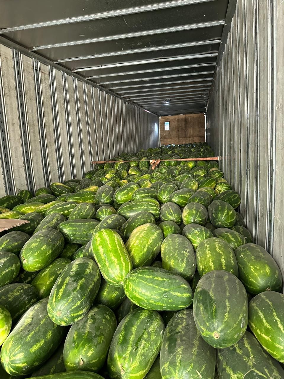 Caja de tráiler cargada de sandías